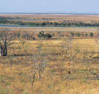 Telegraph Hill - Accommodation NT