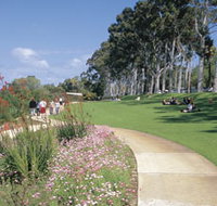 Kings Park Free Guided Walks - Accommodation NT