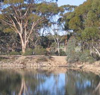 Merredin Railway Dam - Accommodation NT