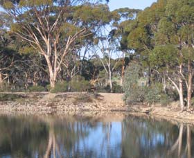 Merredin Railway Dam - Accommodation NT 0