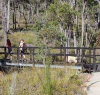 Forest Path Crooked Brook - Accommodation NT