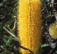 Moore River National Park - Accommodation NT