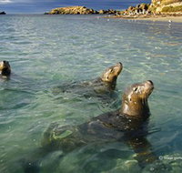 Shoalwater Islands Marine Park - Accommodation NT