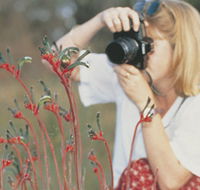 Gingin Cemetery - Accommodation NT