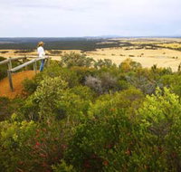 Archer Drive Scenic Drive and Lookout - Accommodation NT