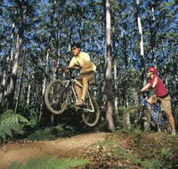 Leeuwin-Naturaliste National Park - Cowaramup - Accommodation NT