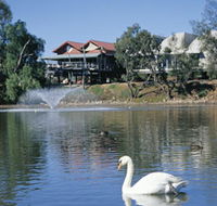 White Swans - NT Tourism