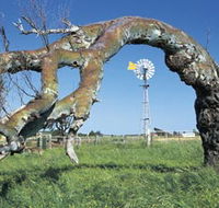 Greenough Leaning Trees - Accommodation NT