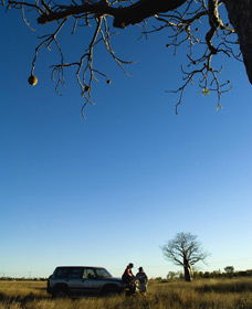 Joonjoo Botanical Trail - Accommodation NT 0