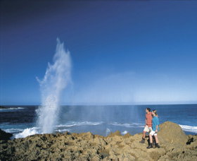 The Blowholes Carnarvon - Accommodation NT 0