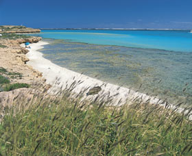 Coral Bay Walk Way - Accommodation NT 0