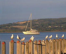 Oyster Harbour - Accommodation NT 0