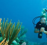 Coastal Water Dive - Accommodation NT