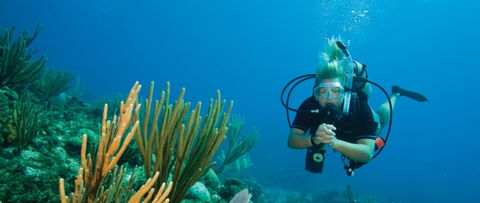 Coastal Water Dive - Accommodation NT 0