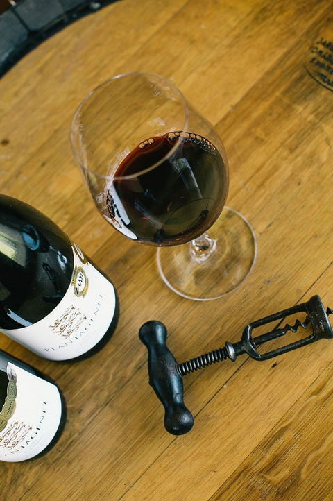 Plantagenet Wines - Accommodation NT 5