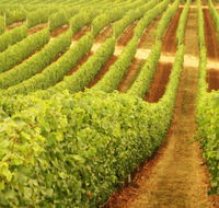 Cullen Wines - Accommodation NT