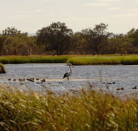 Anytime Adventures in Mandurah  the Peel Region - Accommodation NT