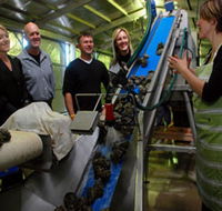 Eyre Peninsula's Seafood Trail - Accommodation NT