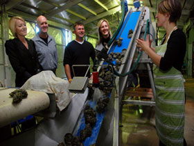 Eyre Peninsula's Seafood Trail - Accommodation NT 0