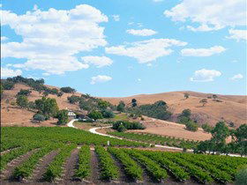 Bethany Wines - Accommodation NT 0