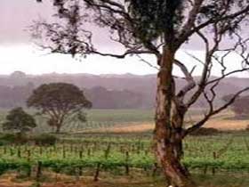 Dorset Vale SA NT Tourism