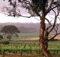 Yangarra Estate Vineyard - NT Tourism