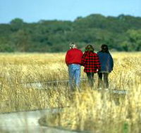 Onkaparinga River Recreation Park - Accommodation NT