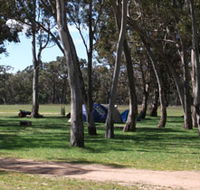 Black Cockatoo Bush Camp - NT Tourism