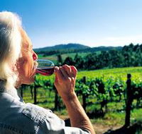 Ashton Hills Vineyard - Accommodation NT