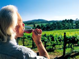 Ashton Hills Vineyard - Accommodation NT 0