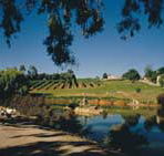 Mount Hurtle Winery home of Geoff Merrill Wines - Accommodation NT