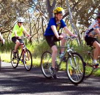 Penola Cycling Trails - Accommodation NT