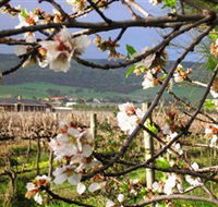 Cradle of Hills McLaren Vale Winery - Accommodation NT