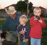 Orrie Cowie Merino and Poll Merino Stud - Accommodation NT