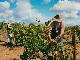Torbreck Vintners - Accommodation NT 0