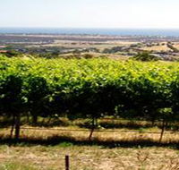 Braydun Hill Vineyard - Accommodation NT