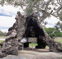 The Herbig Family Tree - Accommodation NT