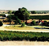 Irvine Wines - Accommodation NT