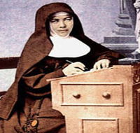 Mary MacKillop Penola Centre - Accommodation NT