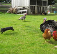 Echo Farm - Accommodation NT