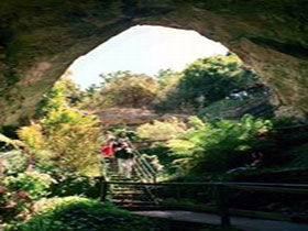 Engelbrecht Cave - Accommodation NT 0