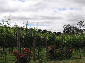  Accommodation NT