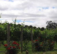 Manyara Vineyard - Accommodation NT