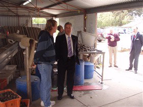 Southern Yorke Oysters - Accommodation NT 0