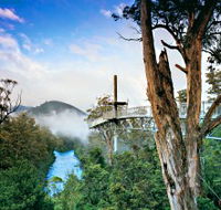 Tahune Adventures Tasmania - Accommodation NT