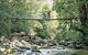 Arve Forest Drive - thumb 0