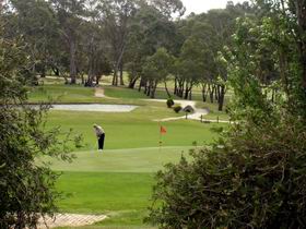 Mount Barker-Hahndorf Golf Club - Accommodation NT 0