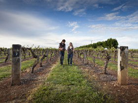 Coonawarra Wineries Walking Trail - Accommodation NT 0