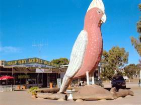 The Big Galah - NT Tourism 0