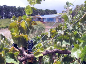 Zimmermann Wine - Accommodation NT 0